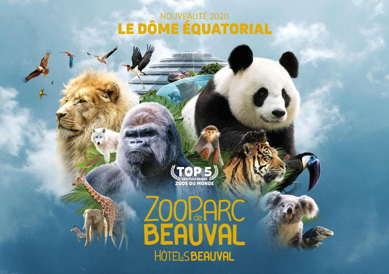 Le Chant Des Oiseaux, 3Km Du Zoo De Beauval, Parking Gratuit ,Wifi Et Netflix Gratuits Saint-Aignan  Eksteriør bilde